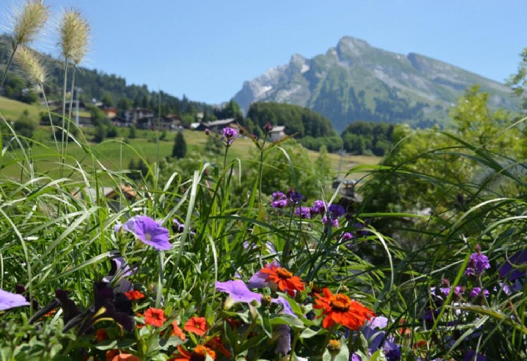 Residence - Les Grandes Alpes La Clusaz Room photo